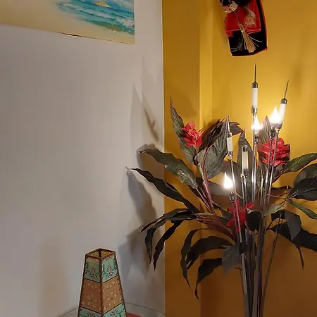 Piso Turistico En El Centro De *