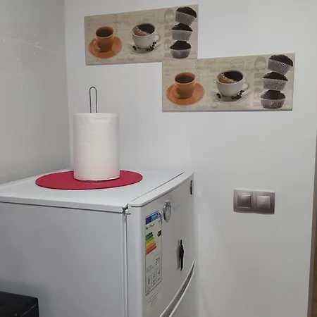 Piso Turistico En El Centro De Appartamento