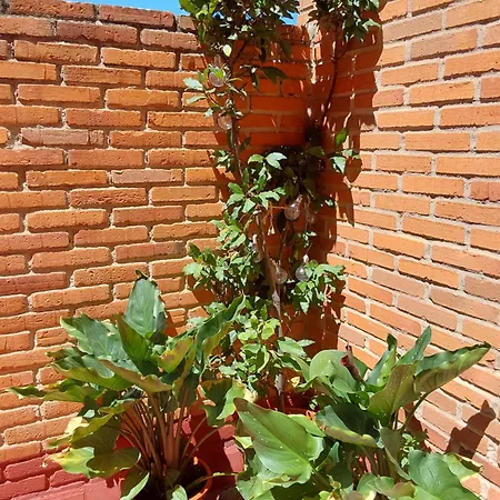 Piso Turistico En El Centro De Appartamento *