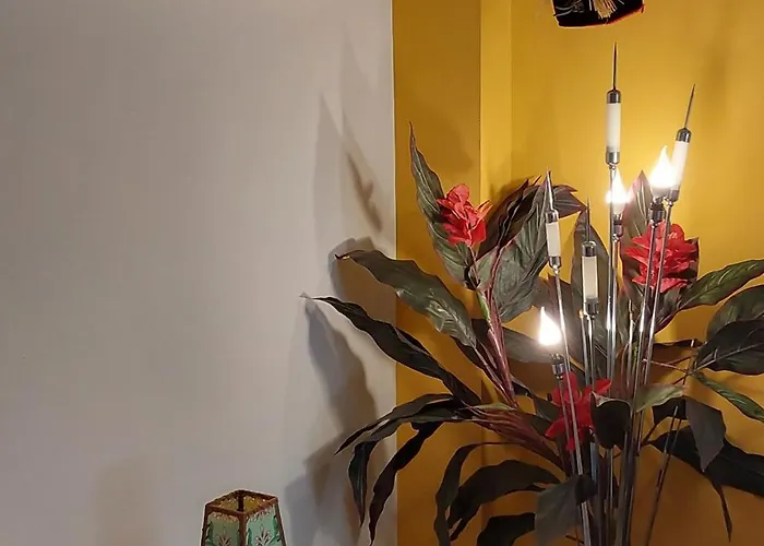 Piso Turistico En El Centro De *