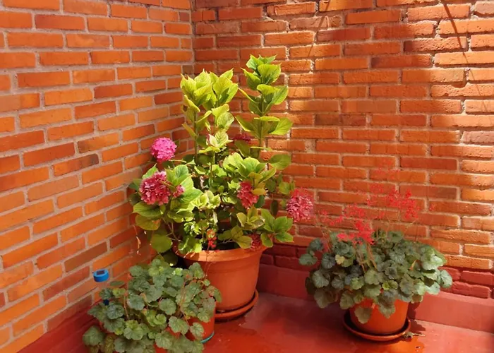 Апартаменты Piso Turistico En El Centro De